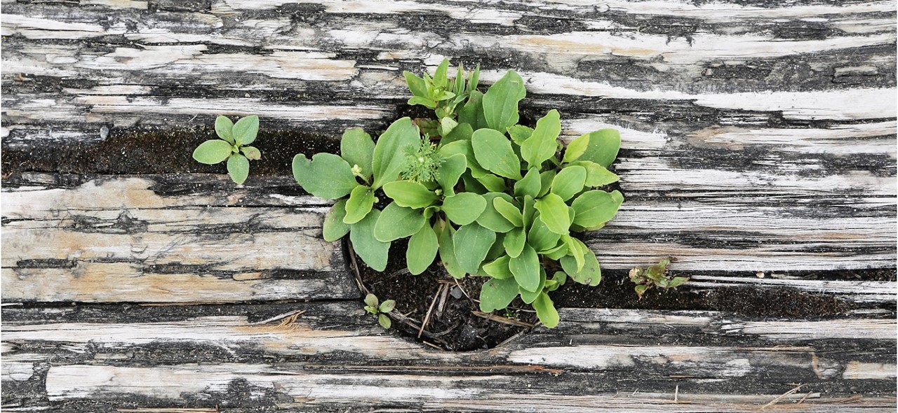 We Continue to grow!